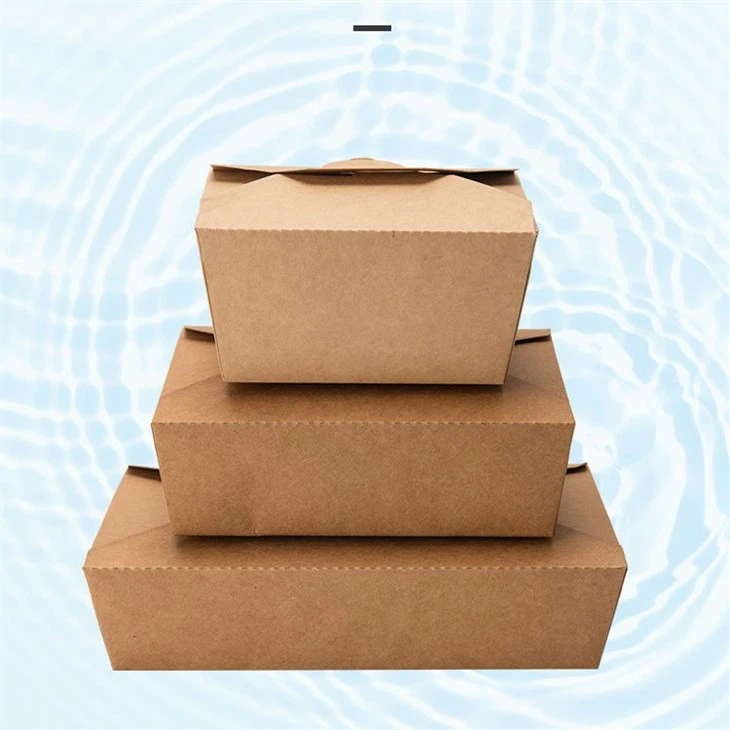 Takeaway Meal Boxes (4)